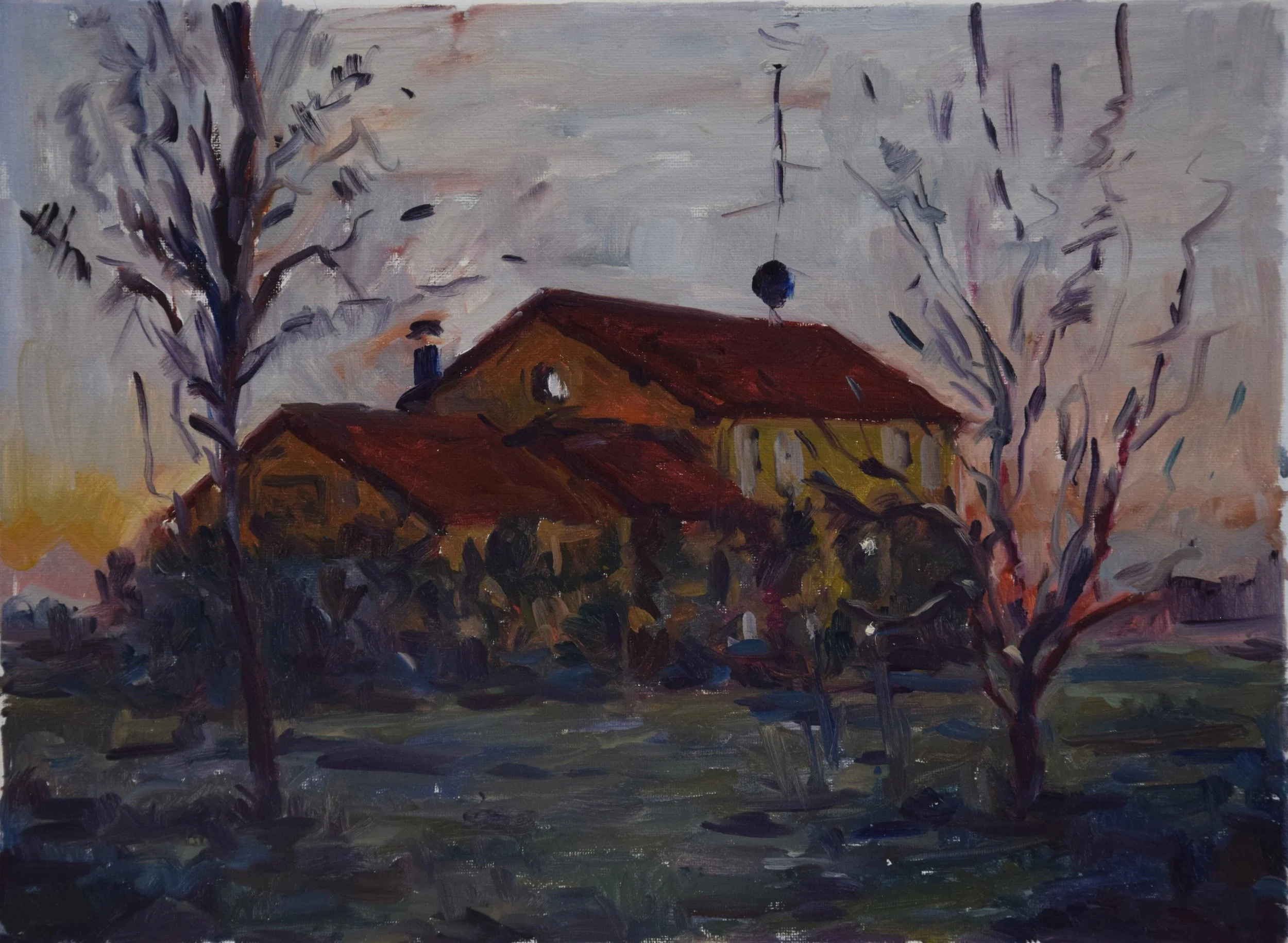 dusk house closeup.JPG