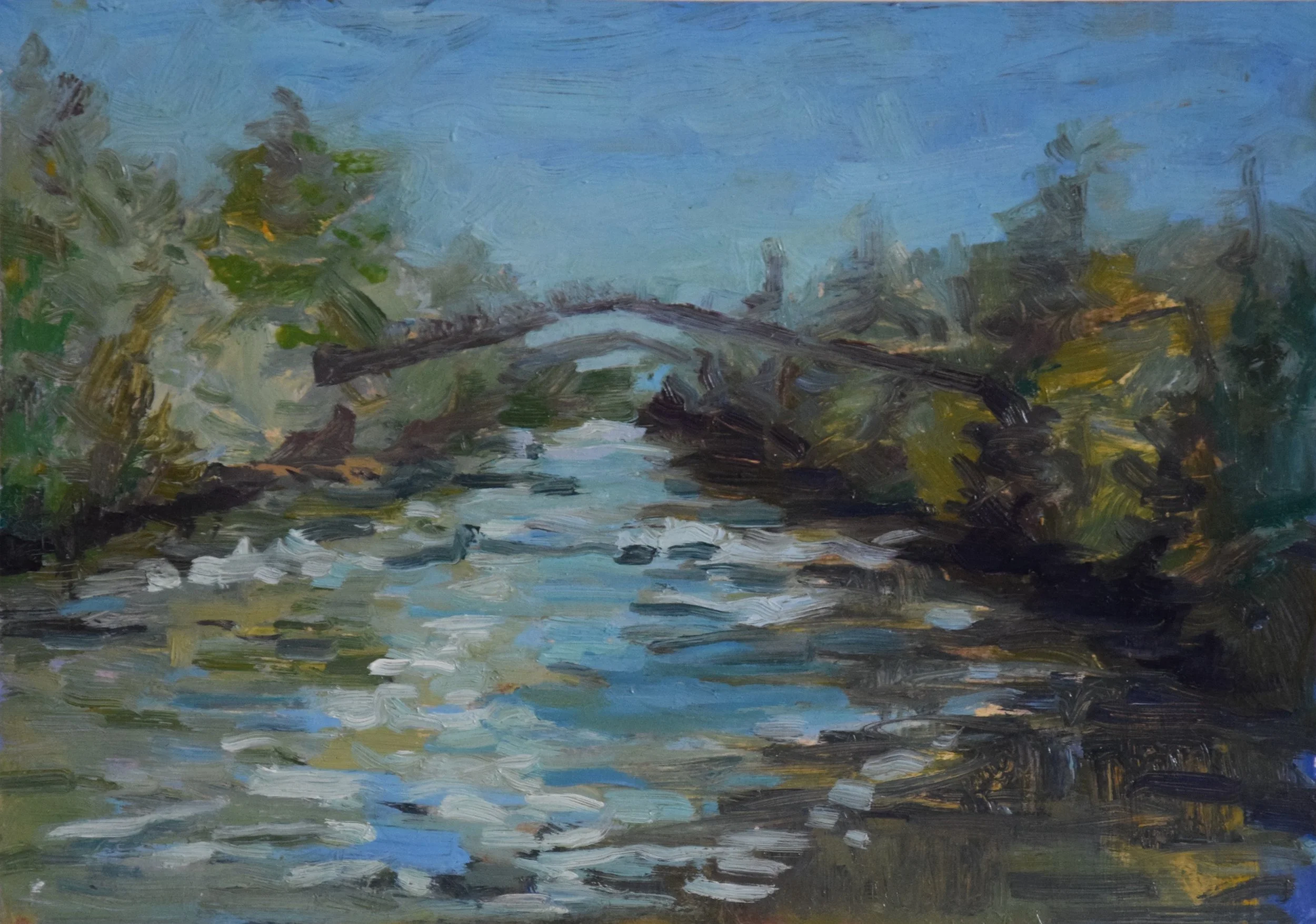 Slovenia River