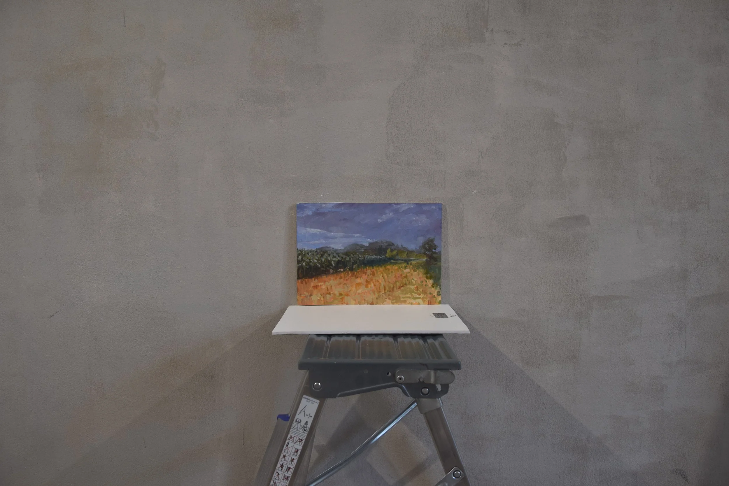 stormy+fields+wall+%282%29.png