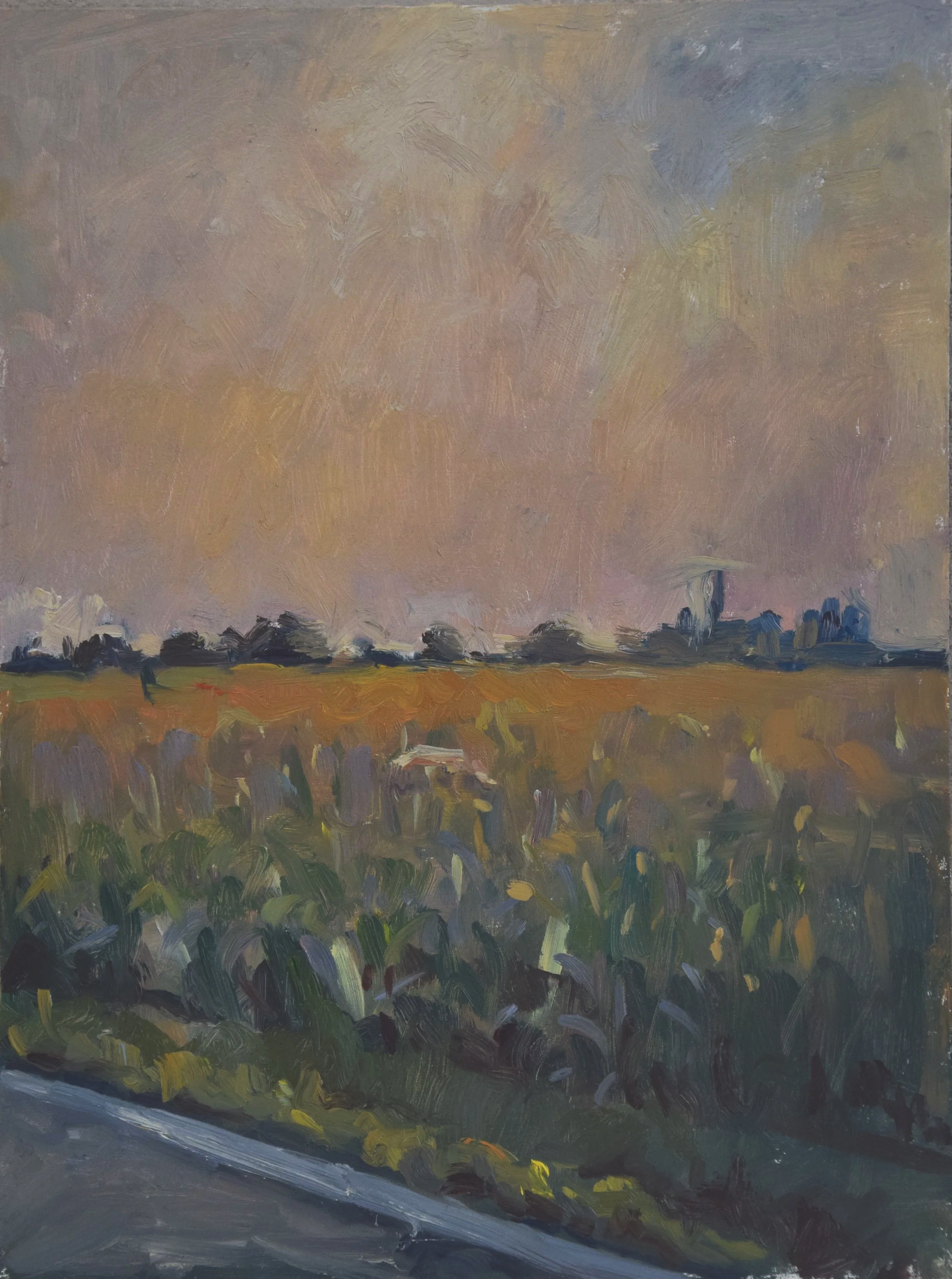 sun%2Bblown%2Bfield%2Bcloseup.png