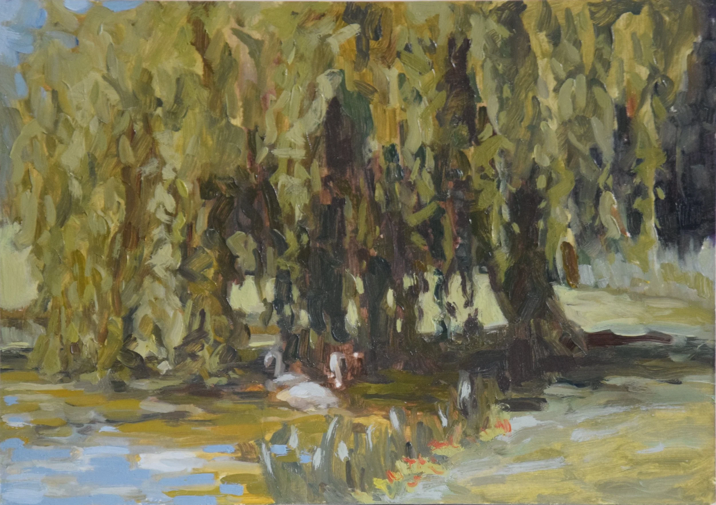salice closeup 2.JPG