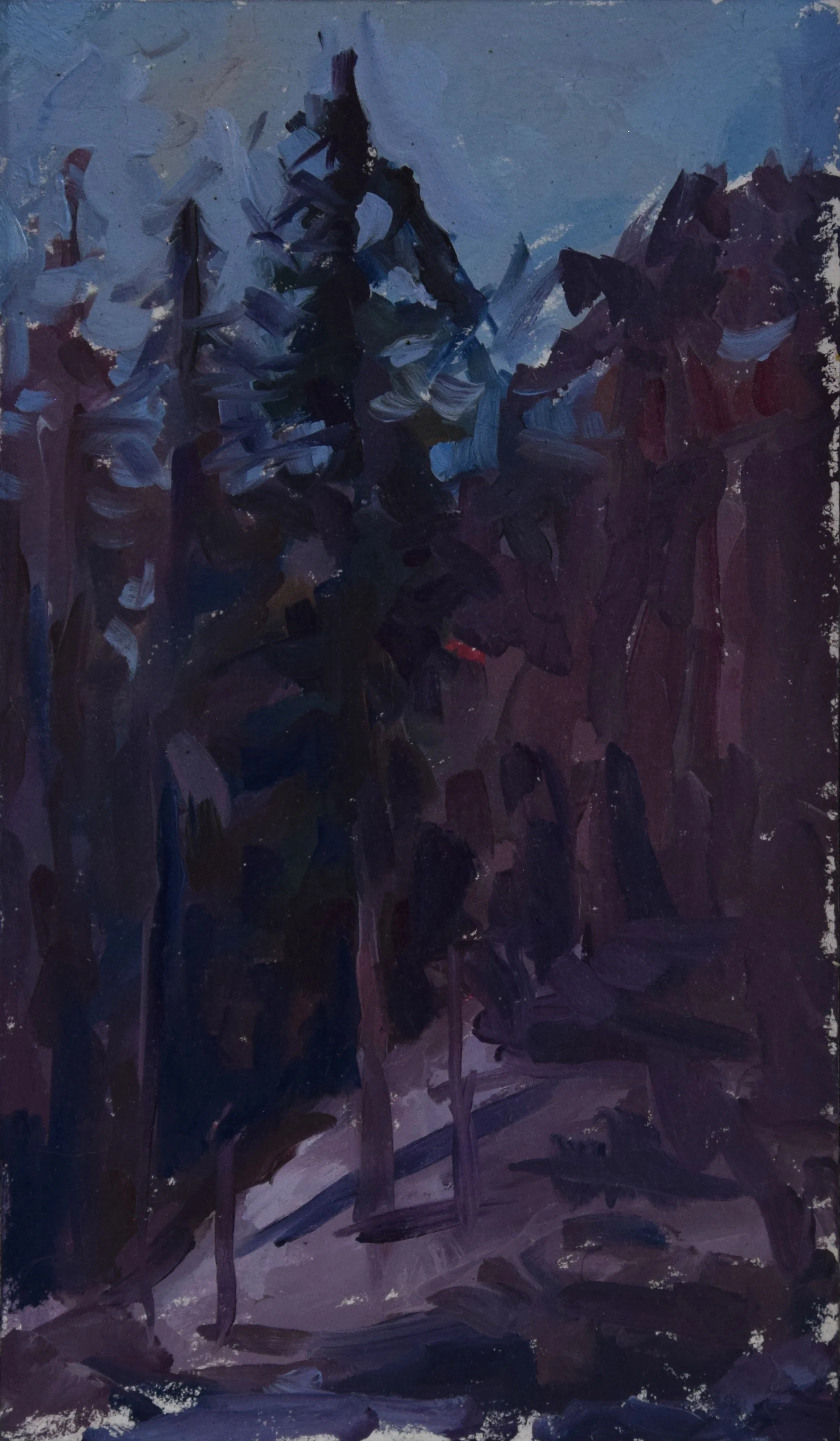 lonesome tree closeup.JPG