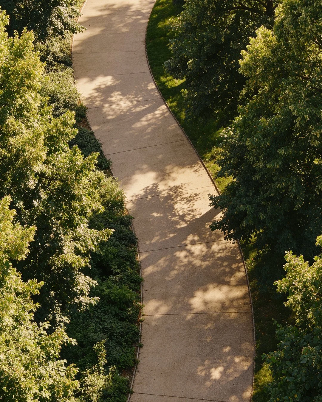 Scenic walking path through the trees at Upper Grande Rockleigh