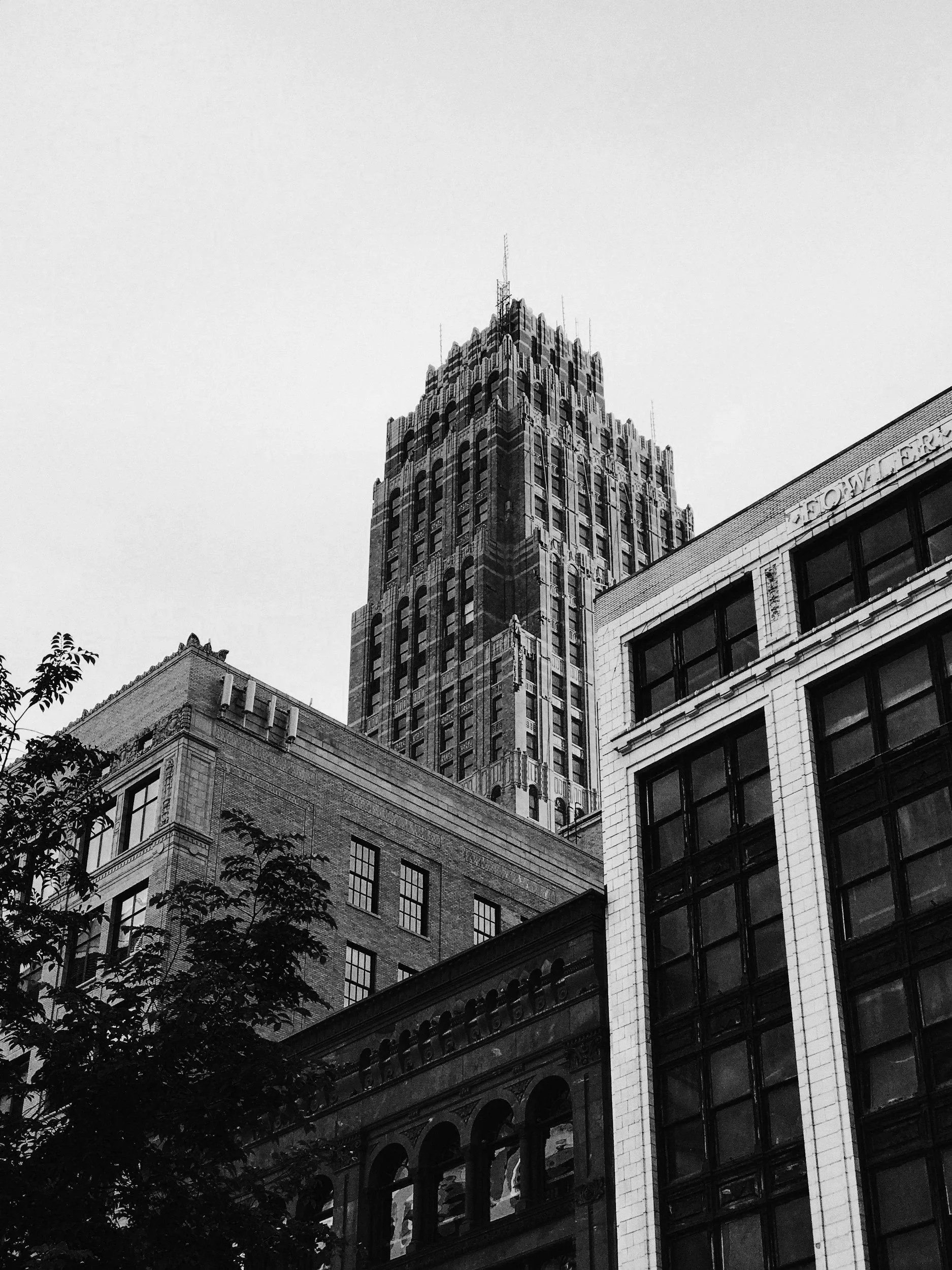 Black and white photo of tall city buildings with intricate architectural details and windows, with trees in the foreground.