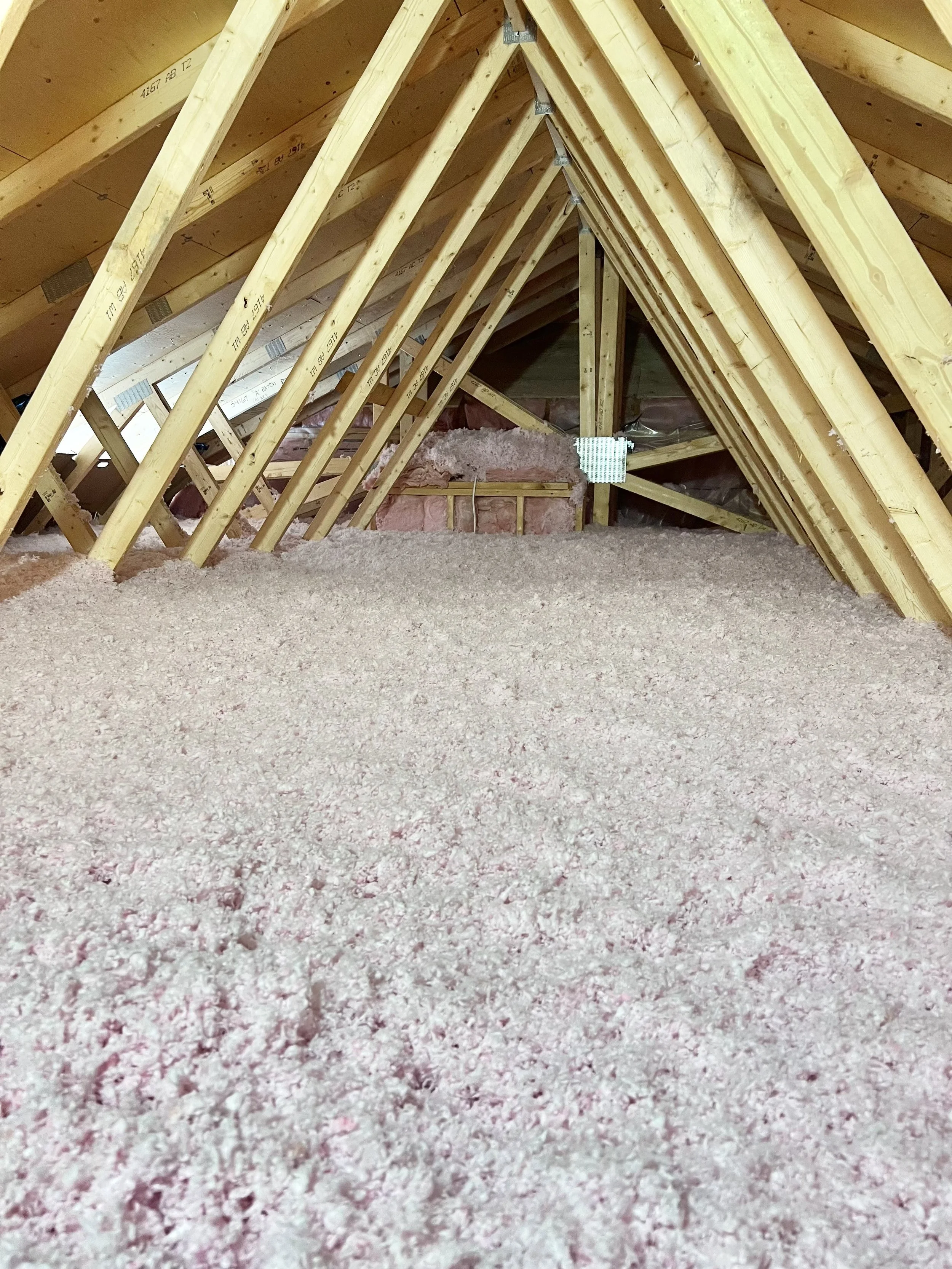 Insulation and wooden roof trusses inside an attic space with pink insulation and exposed wooden beams.