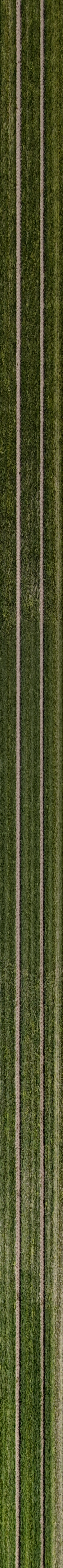 Lange grassbaan met parallelle spoorlijnen van de teelten