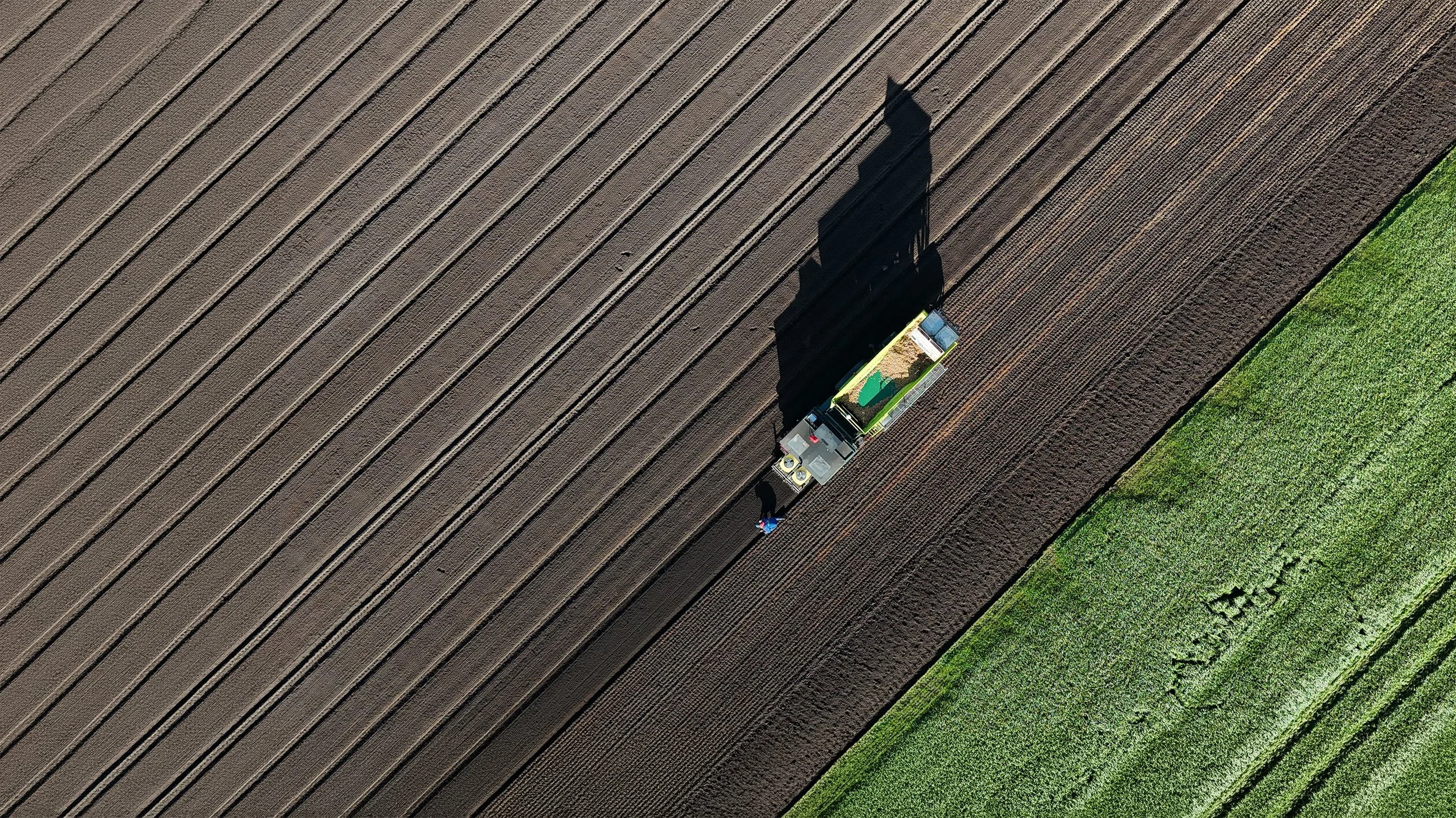 Een veld bewerkt door een landbouwmachine, met een rand van groen gras aan de rechterkant.