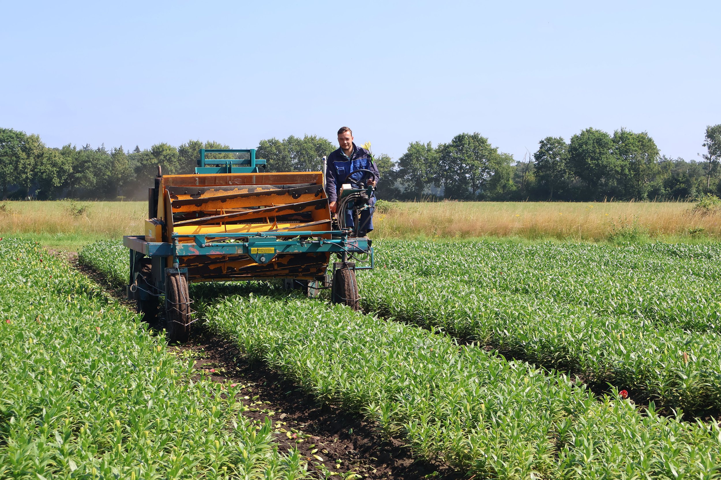 Man bestuurt een landbouwmachine in een groen veld onder een blauwe hemel.