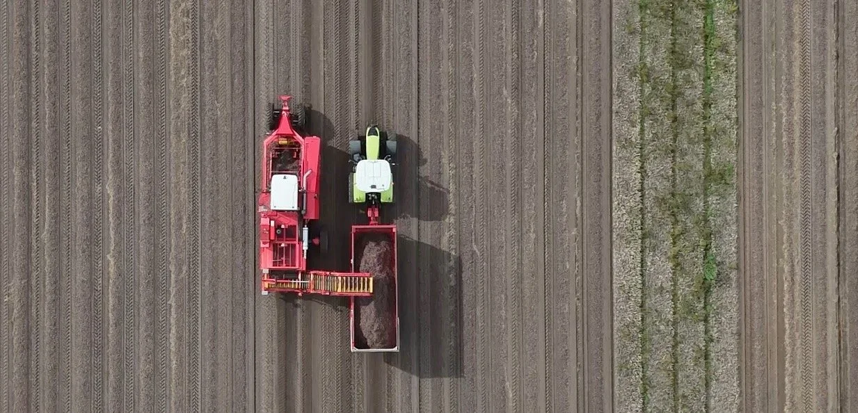 Huetink video 2 - langwerpig zonsondergang 4 MOBIEL groot.jpeg