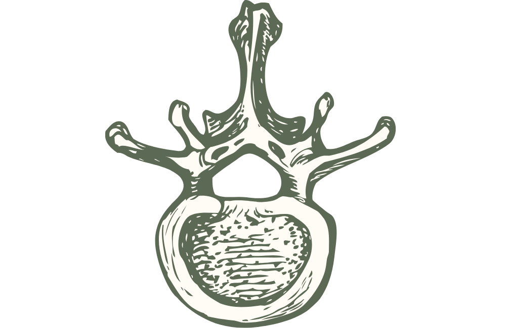 A stylized illustration of a tree with a hollow trunk and extending branches, in a monochrome, sketch-like style.