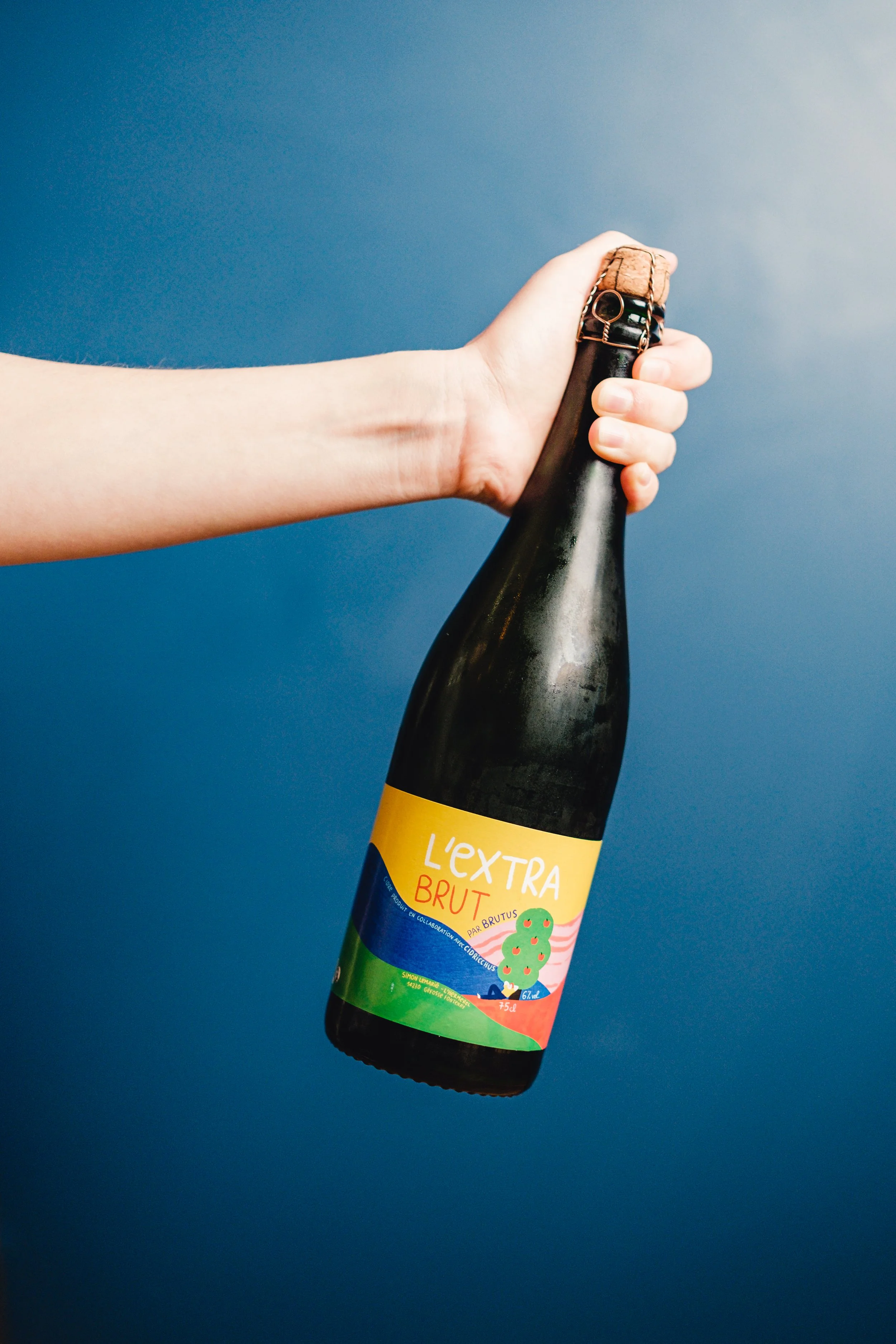 Extra Brut - Brutus x Cidricchus