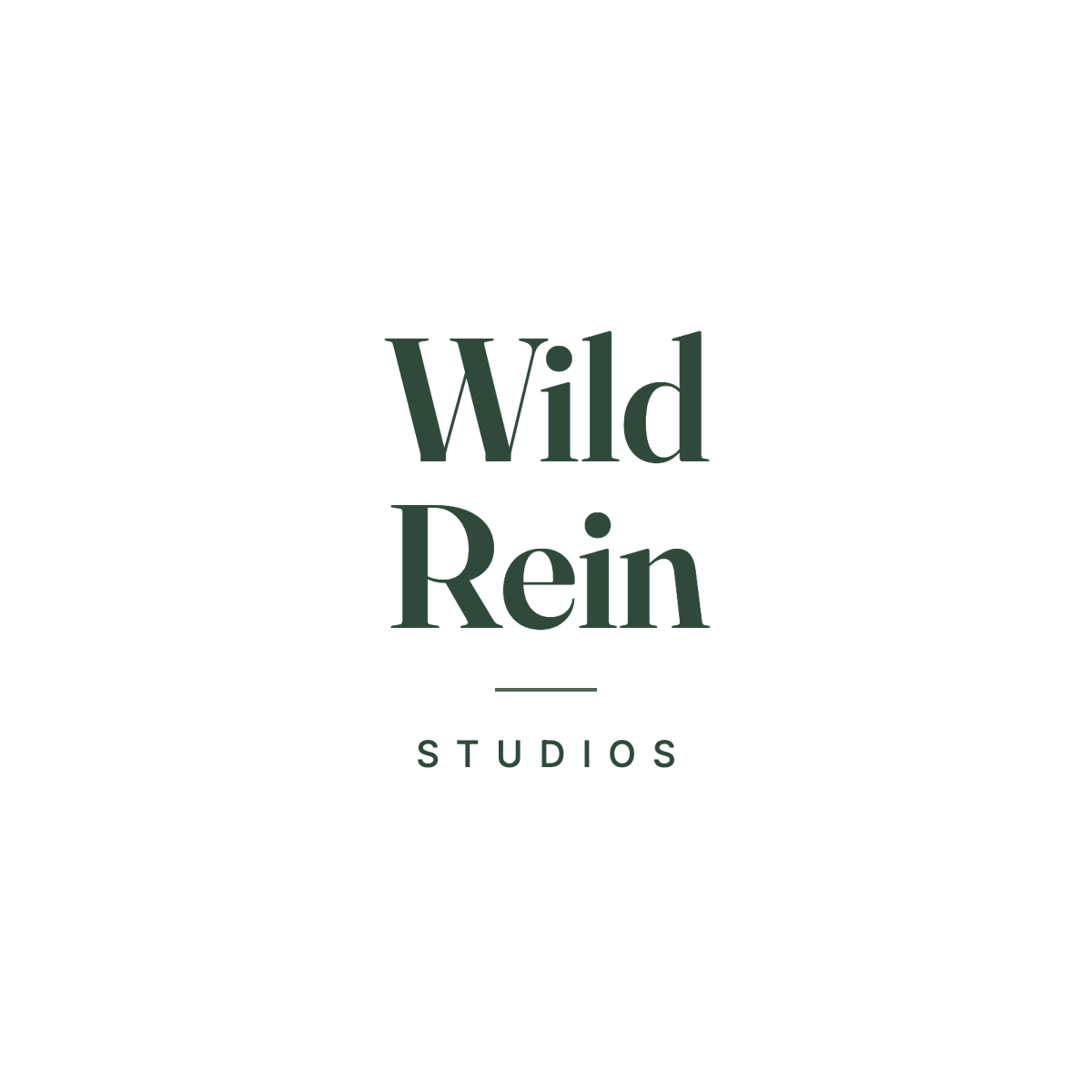 Wild Rein Studios
