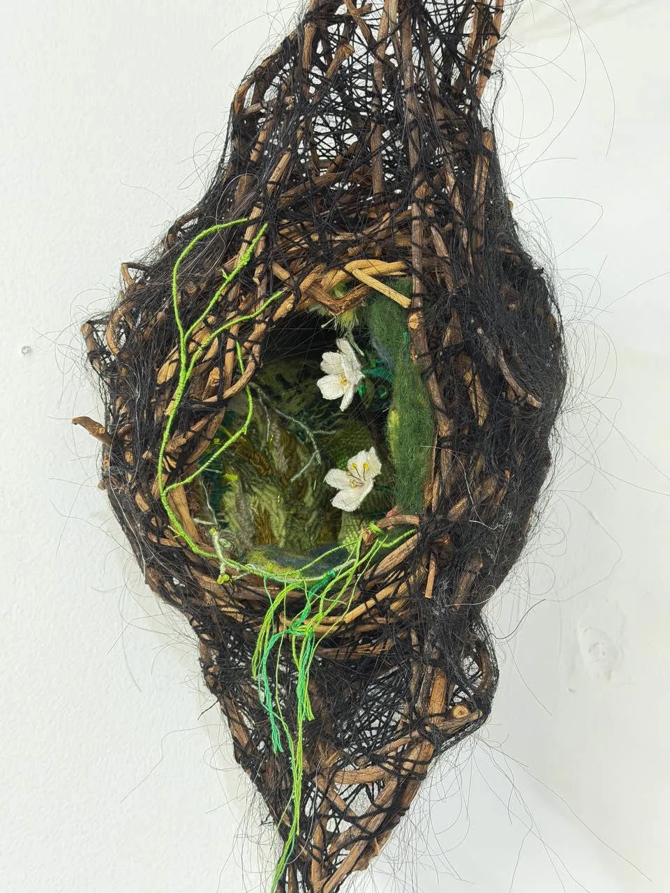 Karami_Hadis_Nest_1.jpg