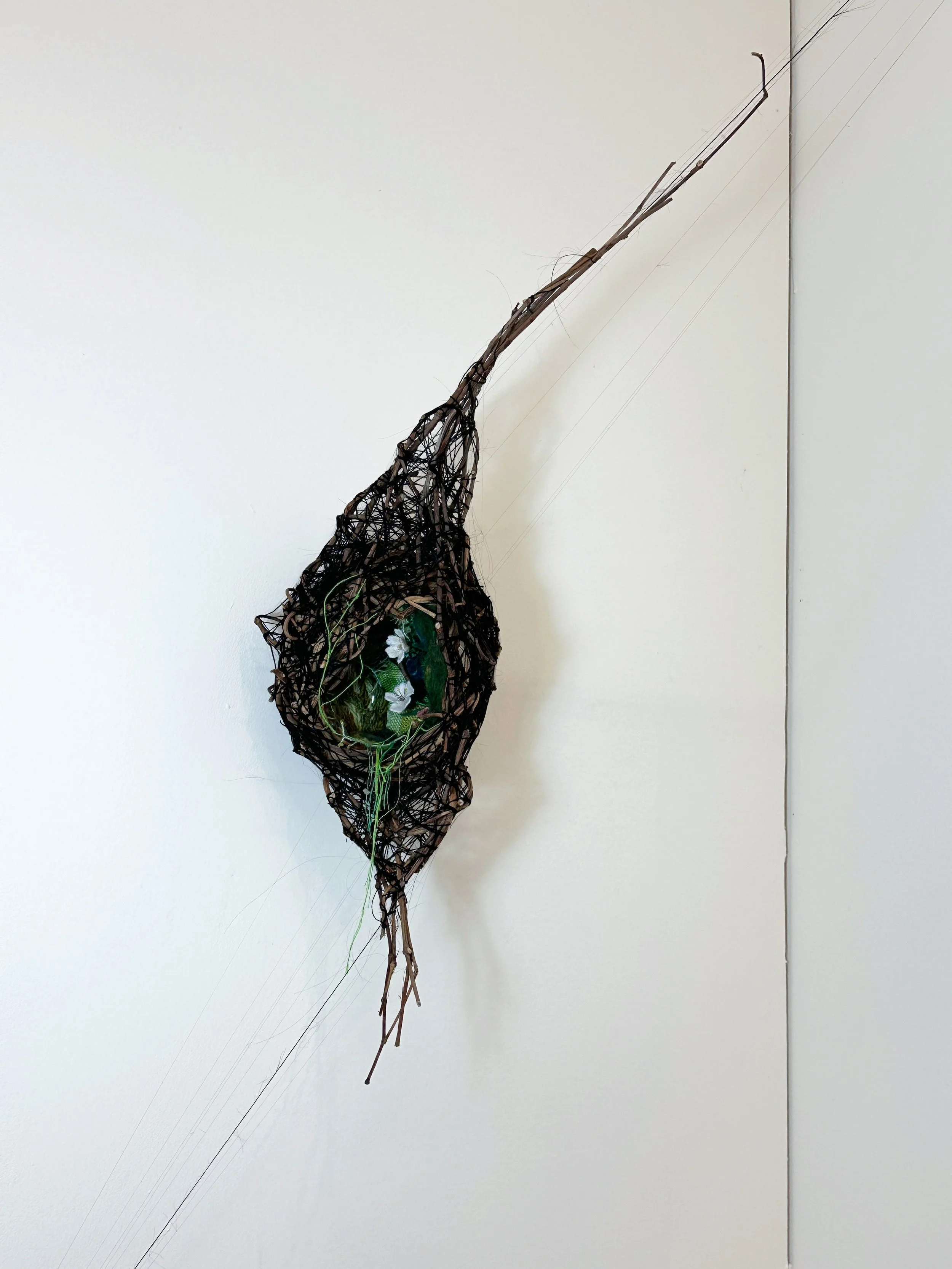 Nest