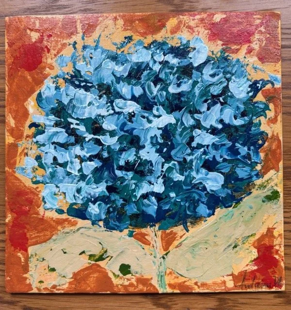 Blue Hydrangea - Mini