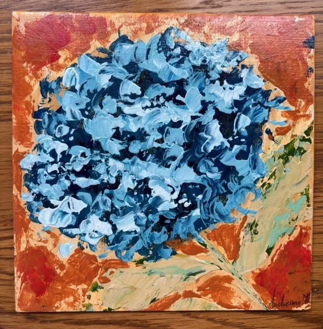 Blue Hydrangea - Mini