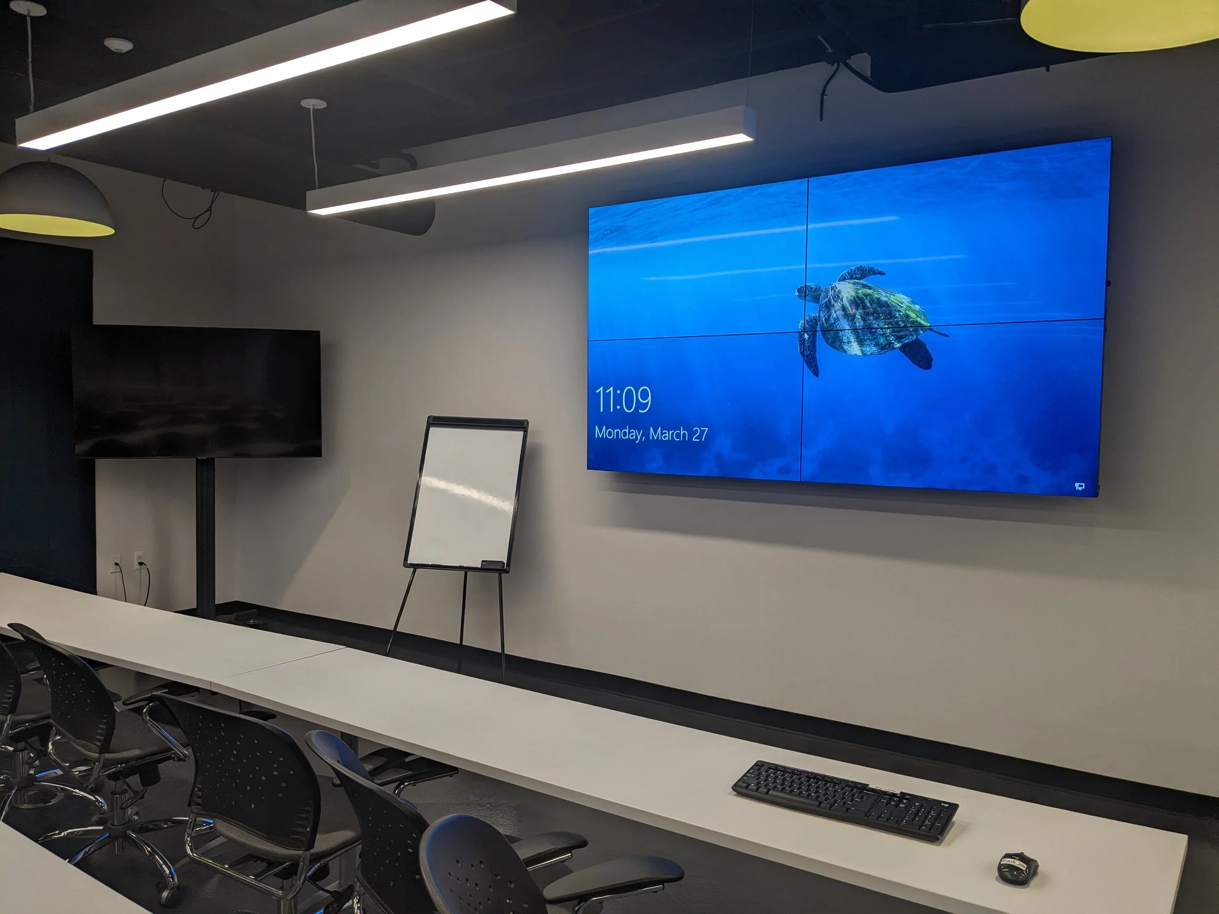 Conference room with black chairs around a white table, a large wall-mounted screen showing a turtle swimming underwater, and a keyboard and mouse on the table.