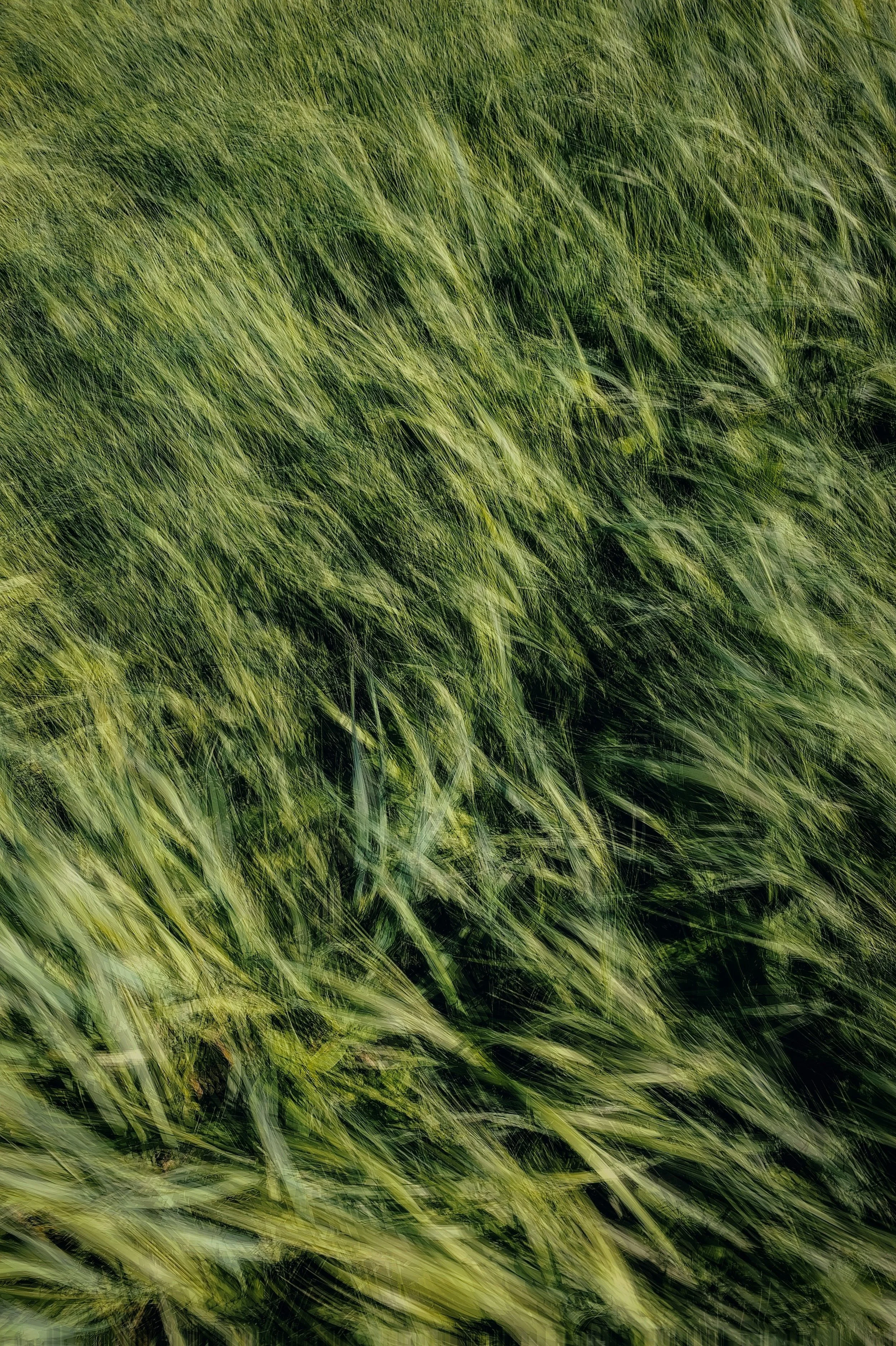 eugene-golovesov-ACFmZVwrLUk-unsplash.jpg