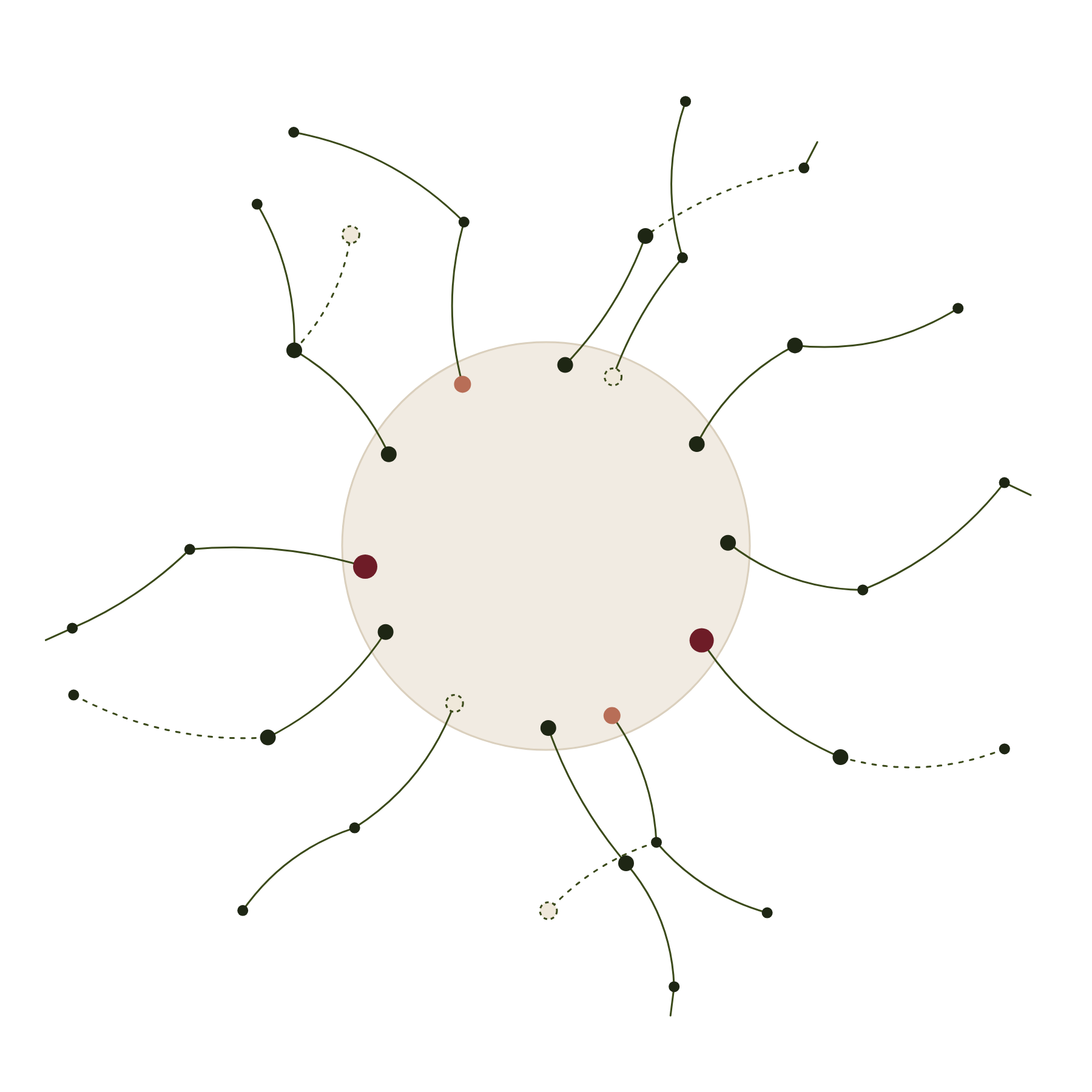 Graphic illustrating paths arrive from every direction and meet around an open center, with mixed node colors to show difference meeting in a shared space