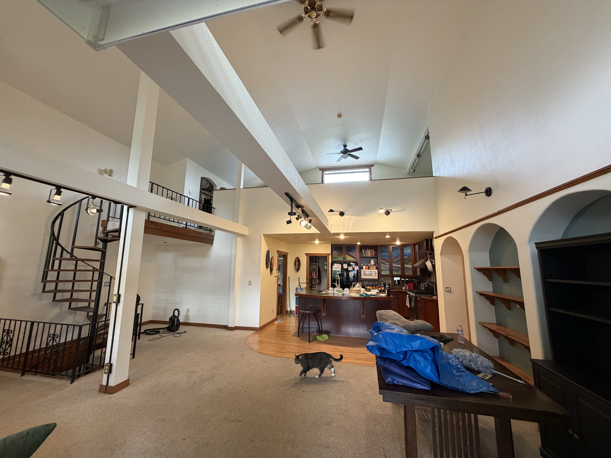 Interior of a home with high ceilings, ceiling fans, and a mix of carpet and hardwood floors. There are stairs with a black metal railing, a bar area with bar stools, and  small grey and black kitten is seen walking on the carpet near a blue tarp and