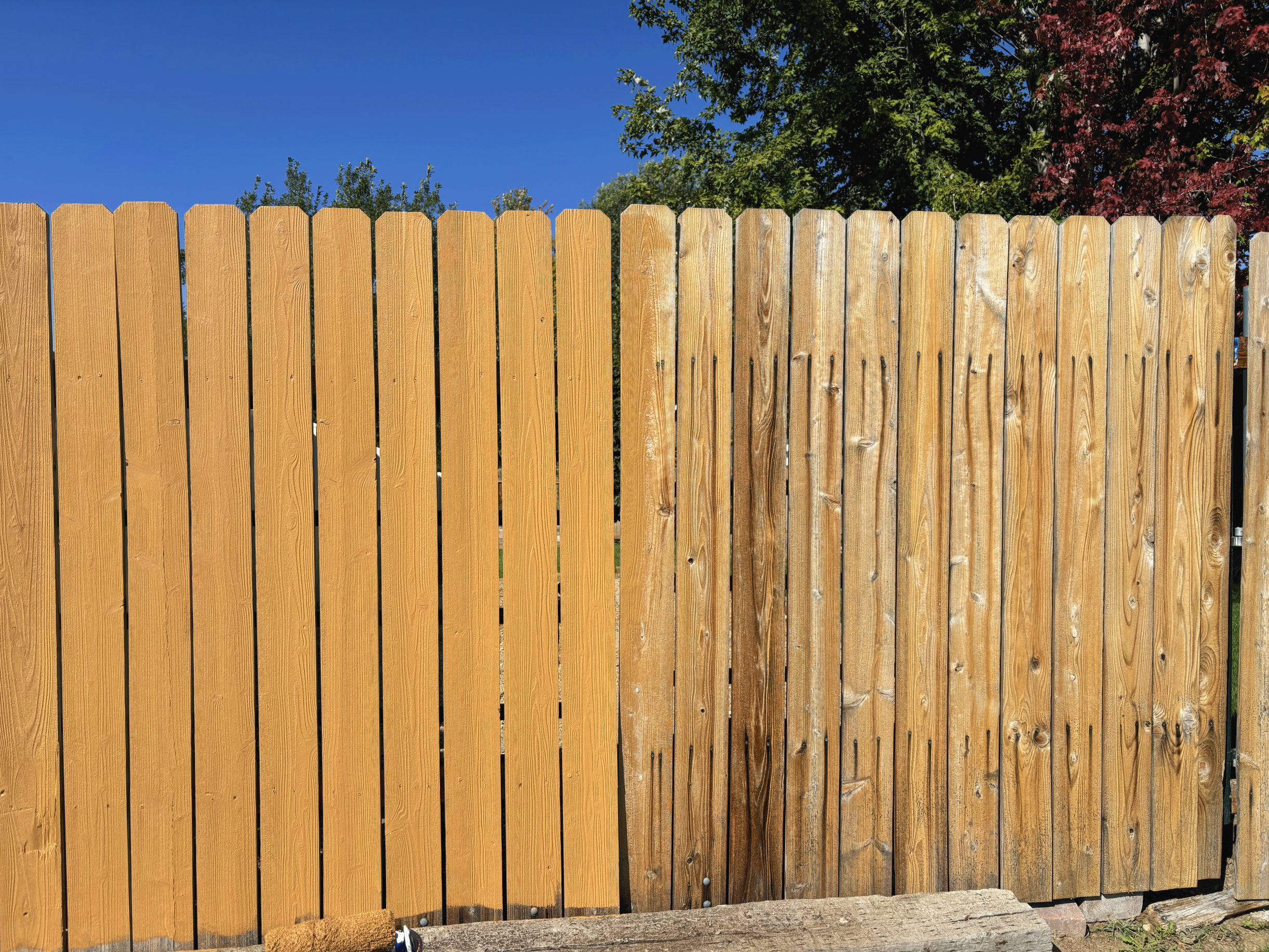 A tall wooden fence made of vertical planks with a natural finish, situated in front of trees with green and reddish leaves under a clear blue sky. Fence staining near me.