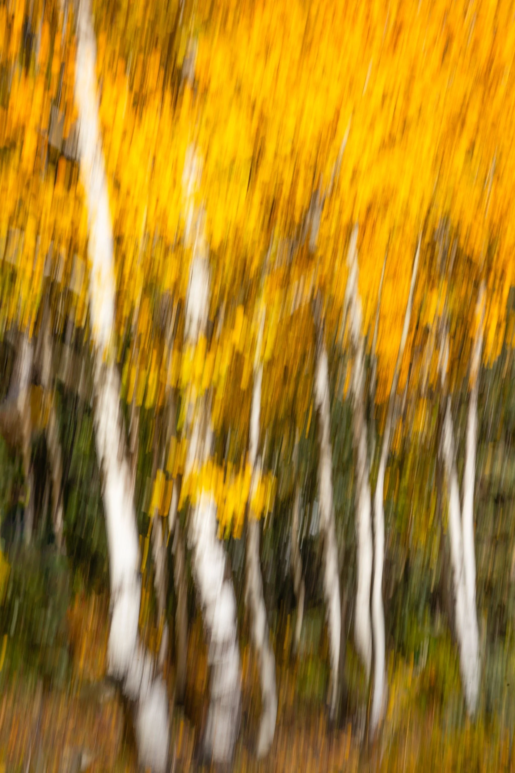 _I1A0154-1 copy.jpg