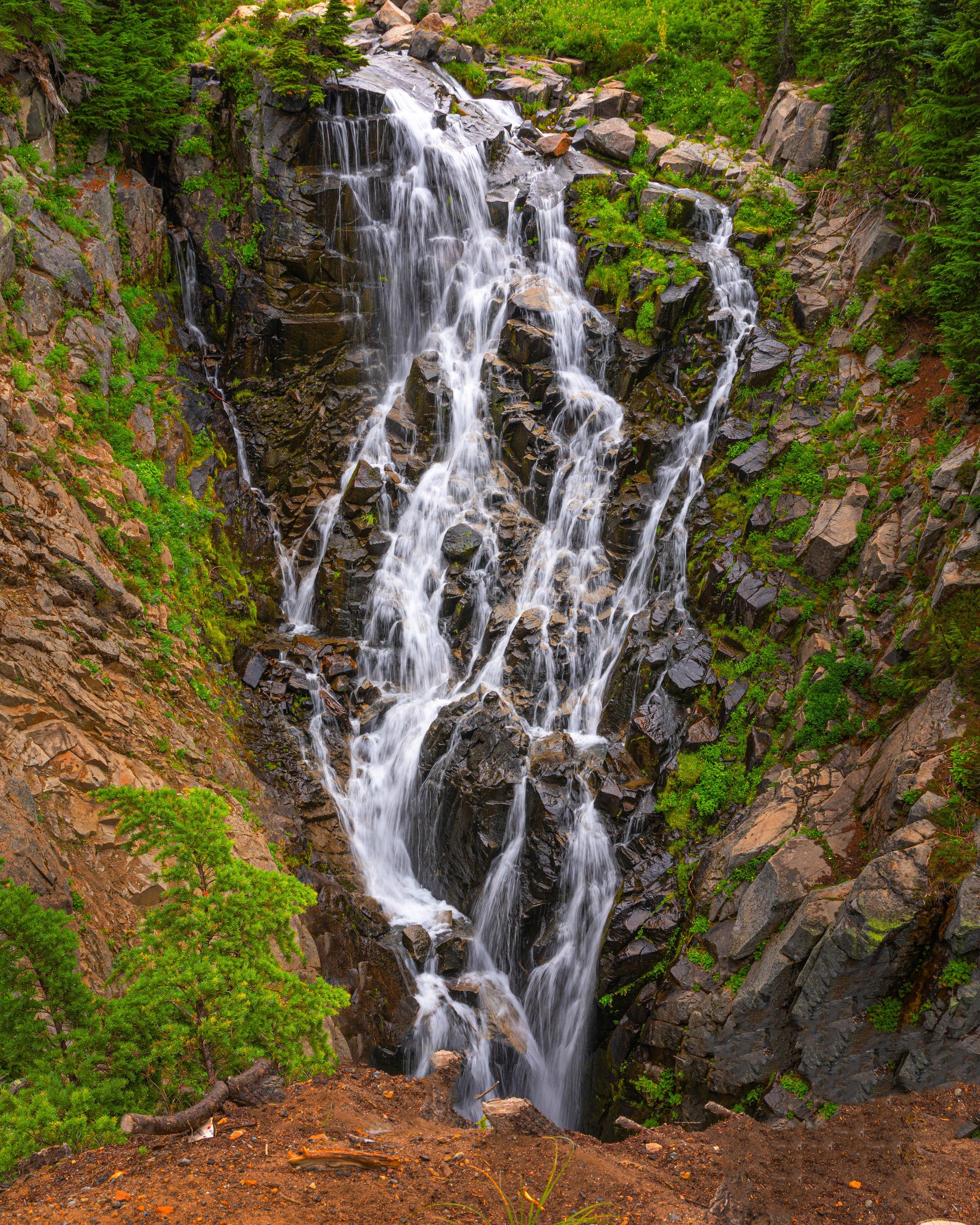 _I1A0243-1.jpg