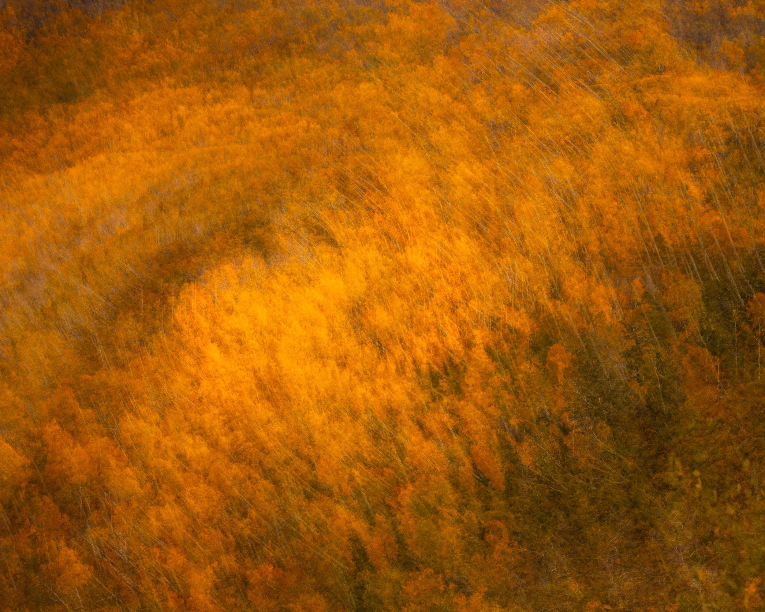 _I1A0040 copy.jpg