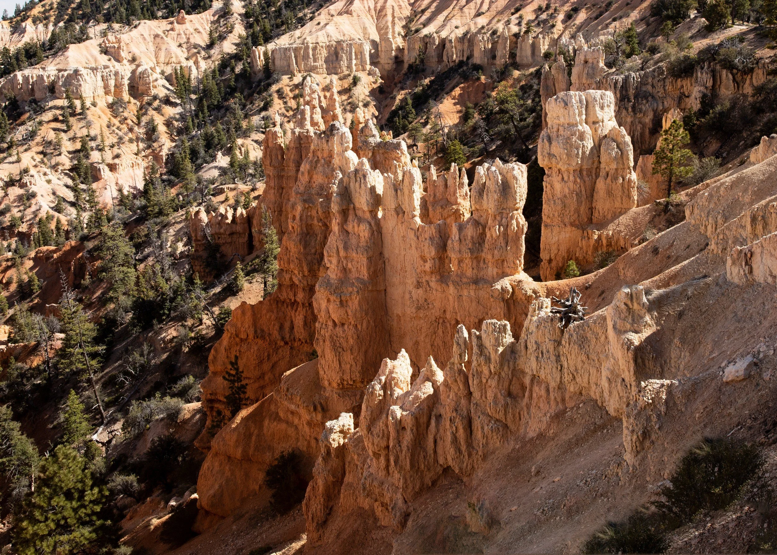 Cluster of Spires at Fairyland Point.jpg