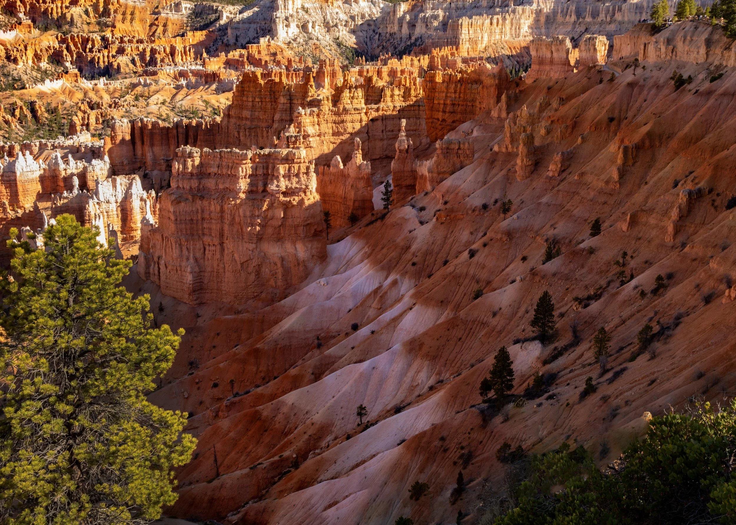 Grand View of Fairyland Point.jpg