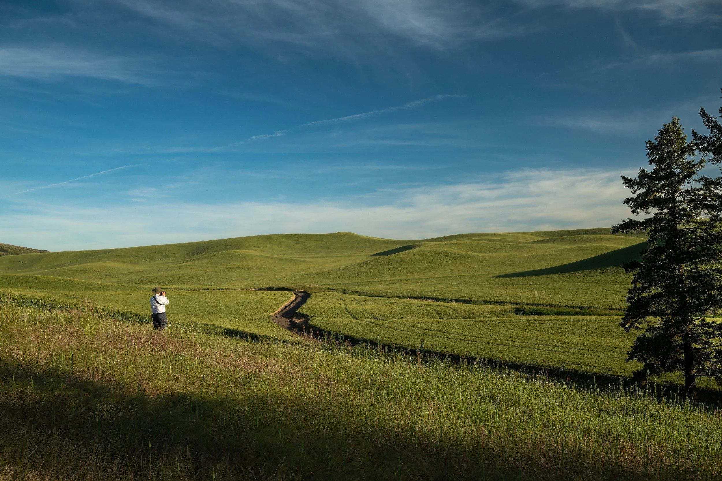 JOHN_PALOUSE.jpg