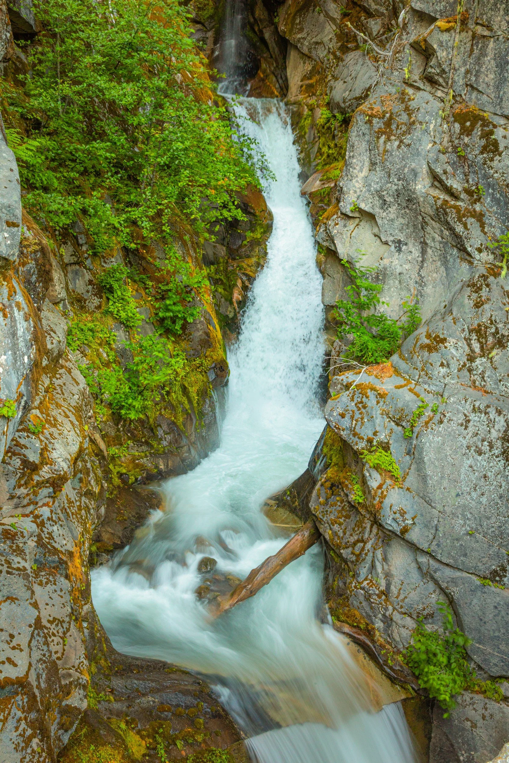 _I1A0128-1.jpg