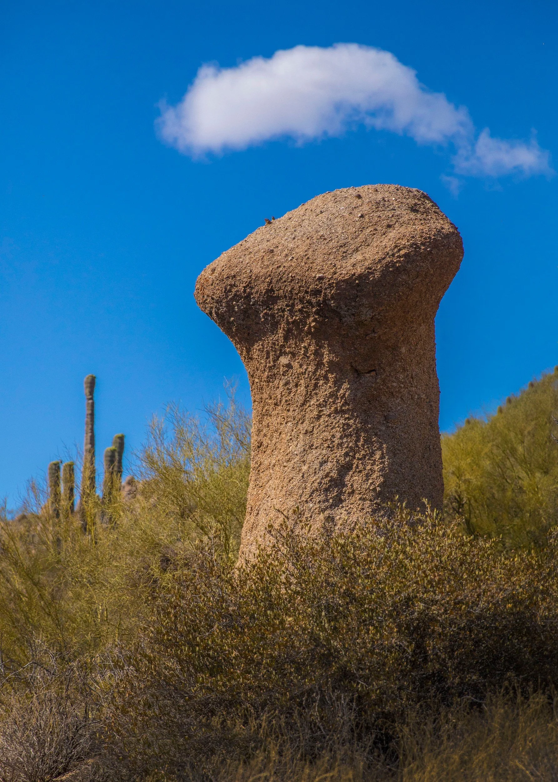 Rock Outside Our Room 3.jpg