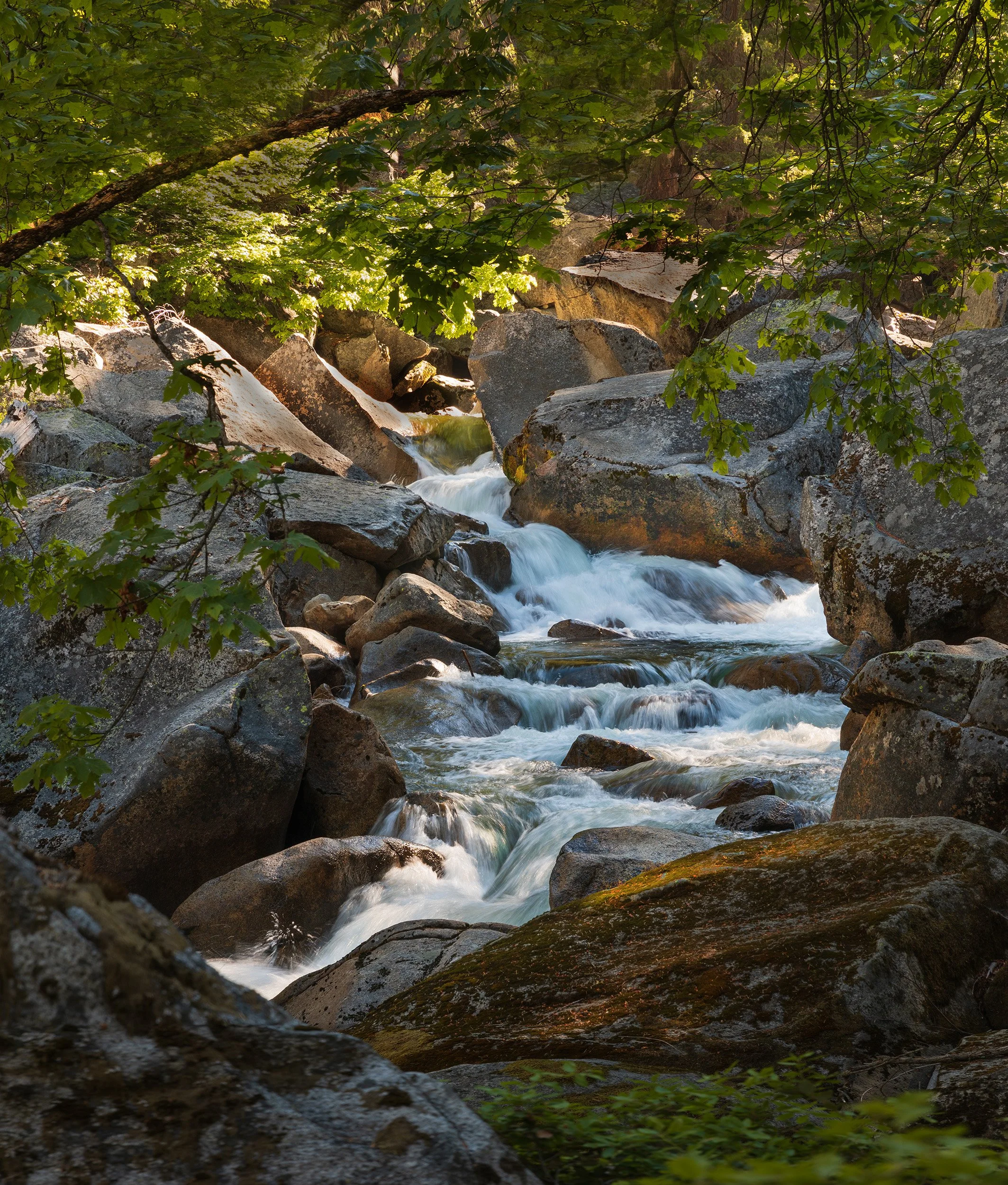 Yosemite-Downhill-Rapids.jpg