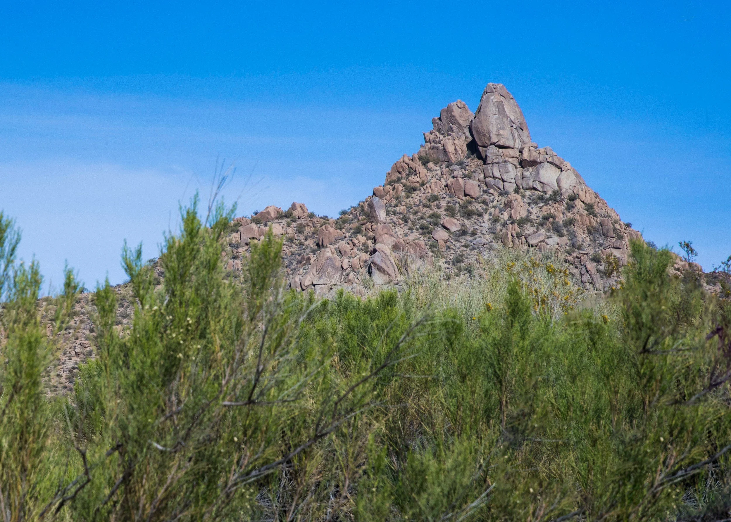 Mountain Penicle.jpg
