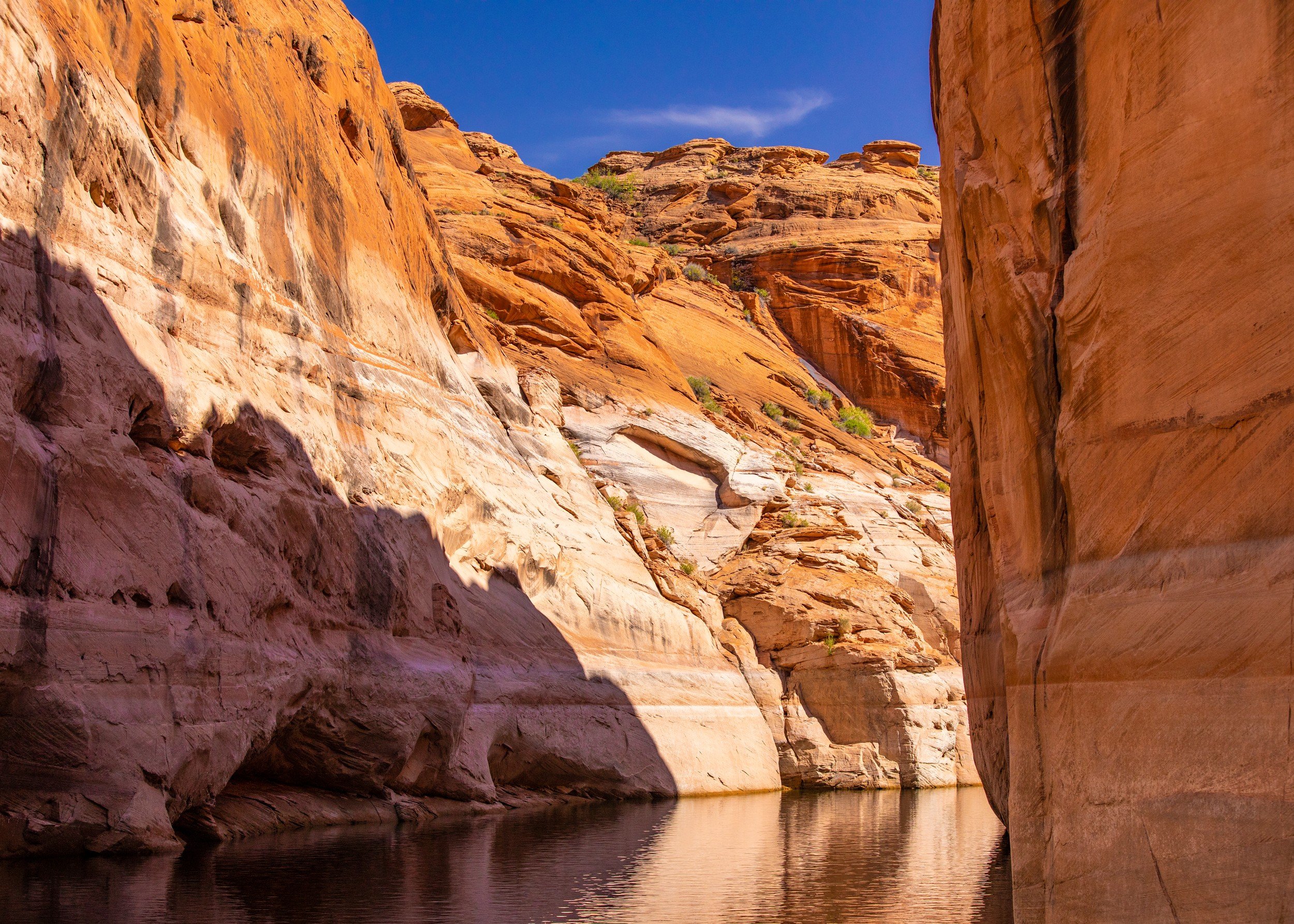 View Up Canyon 3.jpg