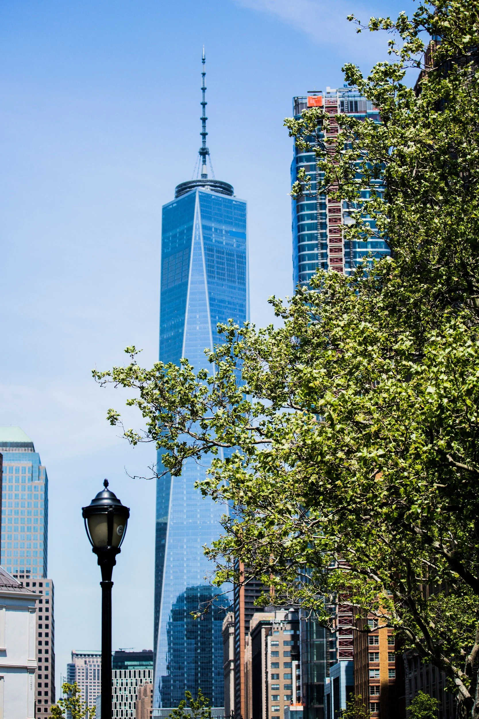 KL3A4781-2.jpg