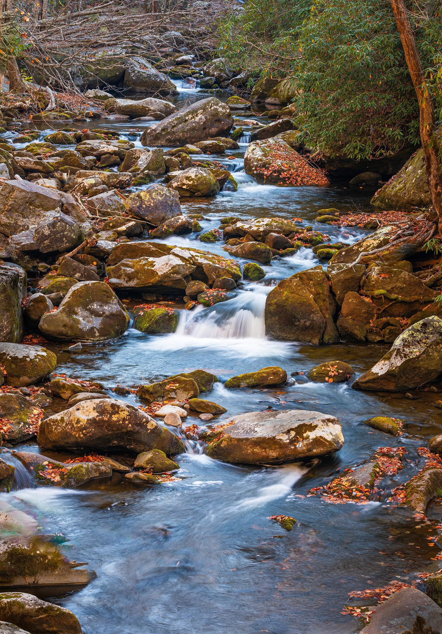 Smoky-Mountains-Rapids.jpg