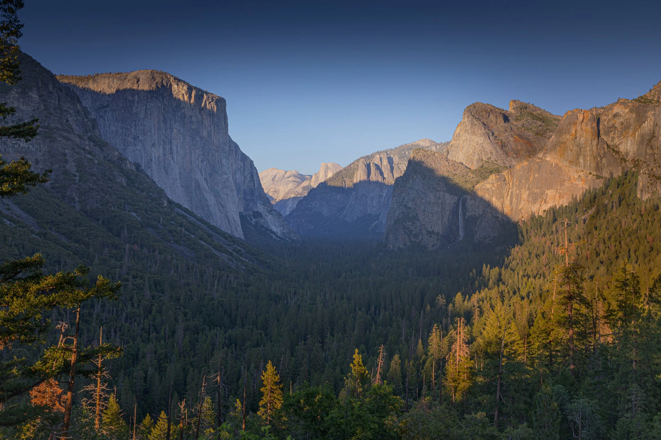 _I1A0091-1 copy.jpg