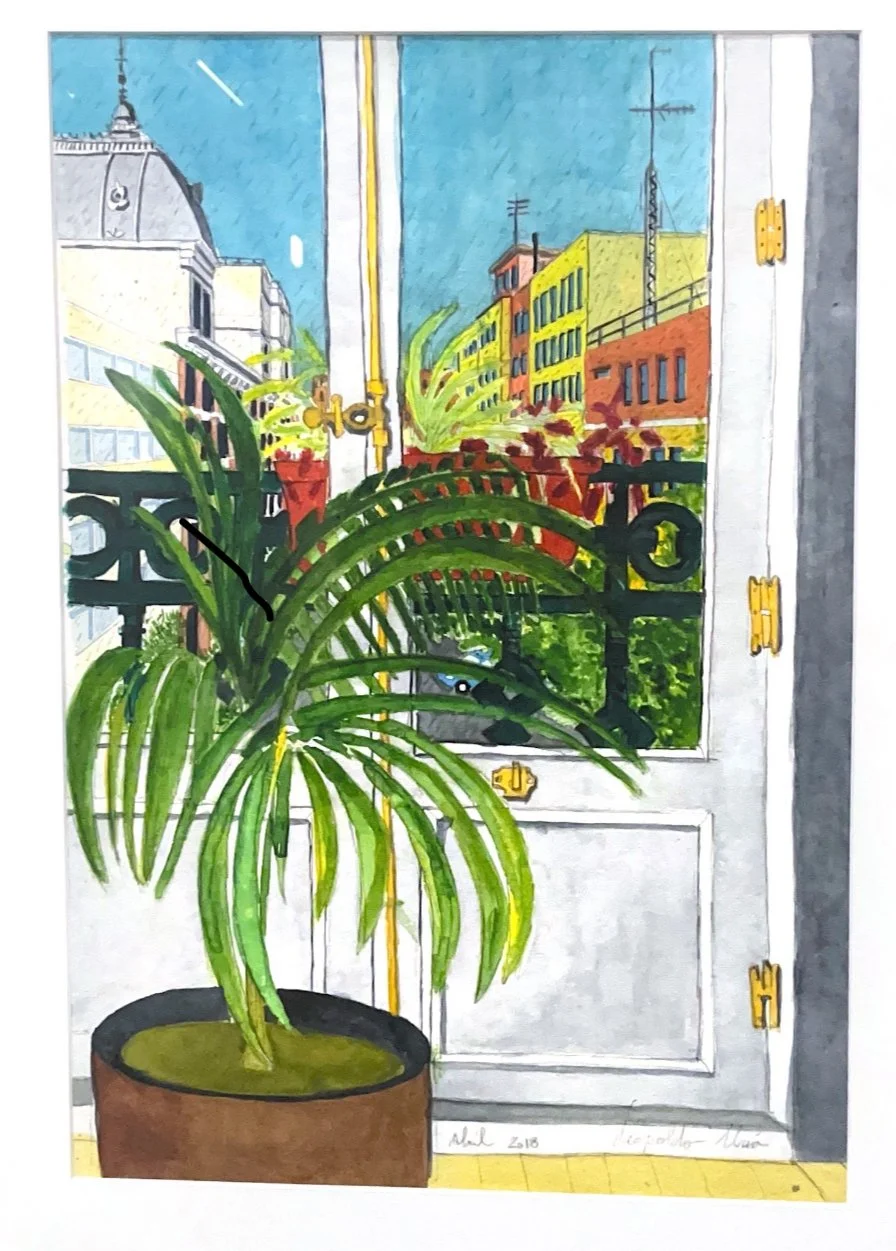 Vista de una calle urbana con edificios coloridos, viendo desde una ventana con rejas negras y macetas con plantas verdes. El cielo es azul claro.