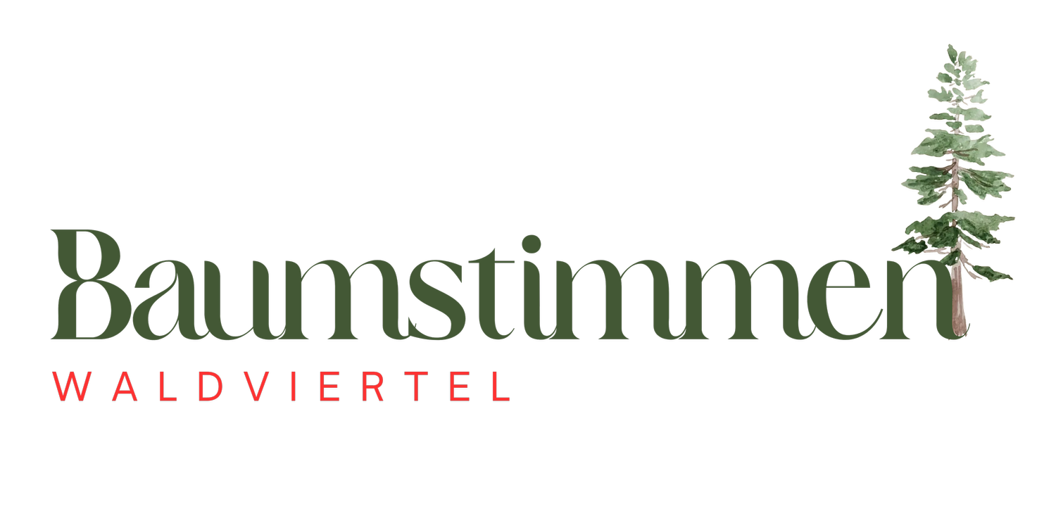 BAUMSTIMMEN WALDVIERTEL