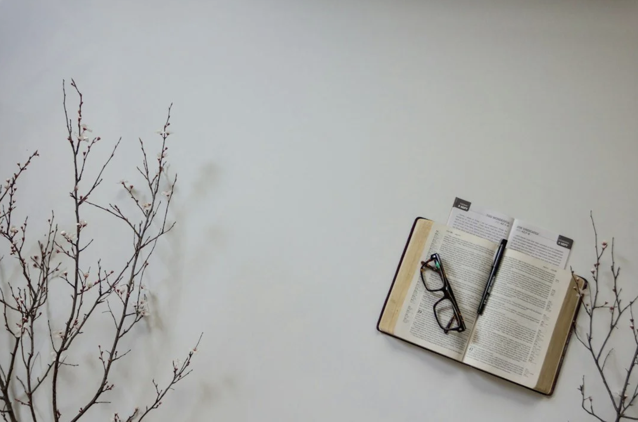 Fachbuch