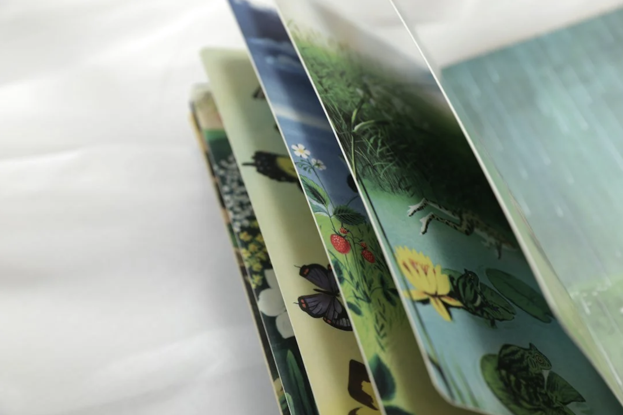 Kinderbuch
