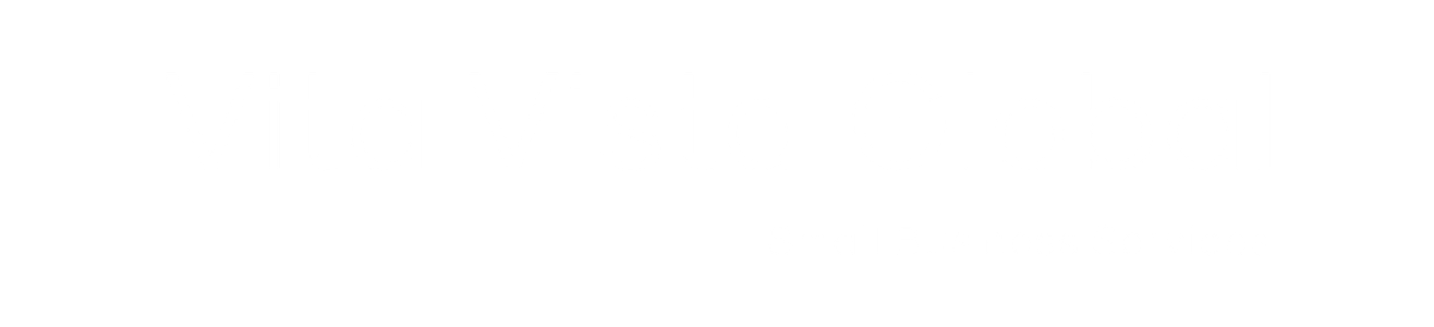 Vita Vista Global logo with the tagline 'Small Business Services'