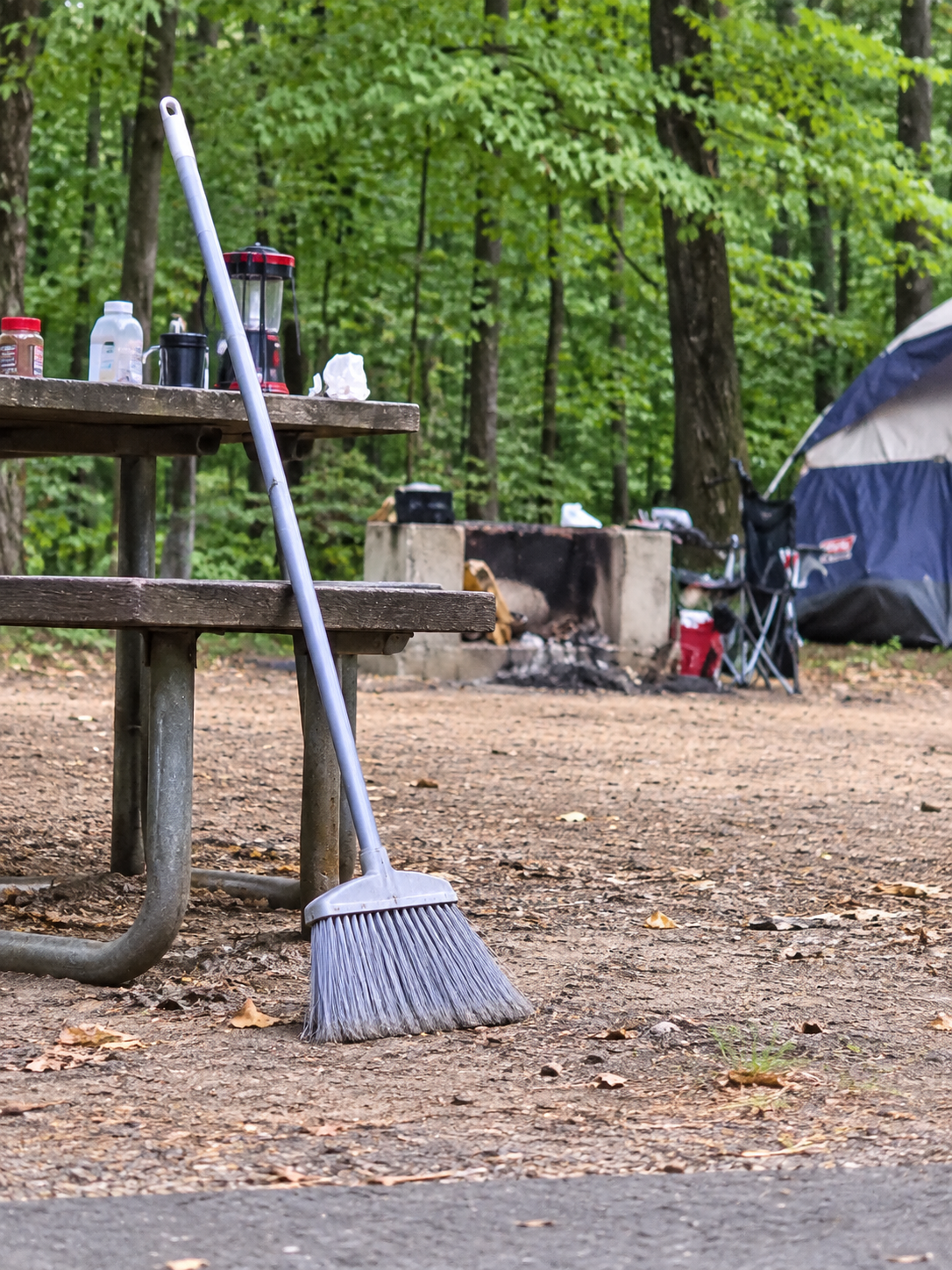 The Broom of Camp Lady
