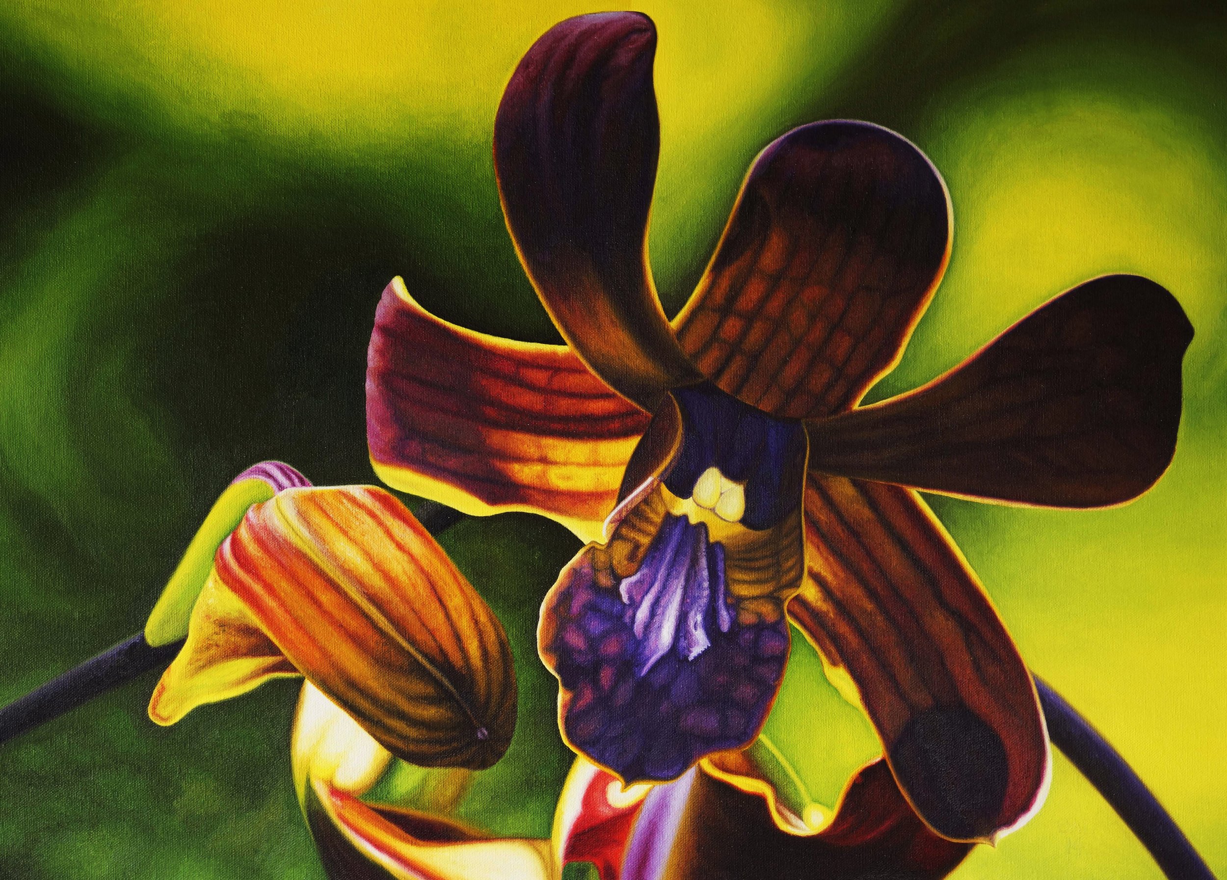 Close-up of a vibrant purple and orange orchid with dark striped petals against a green background painted by Bert Liverance