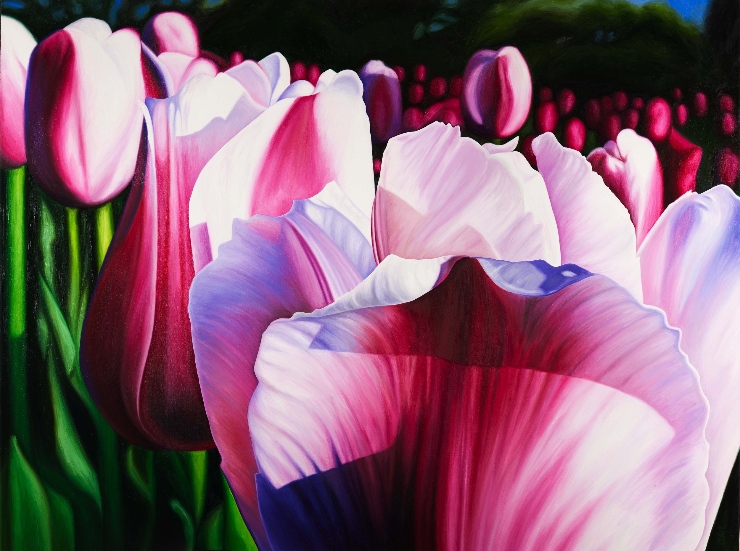 Close-up painting of vibrant pink, white, and purple tulips with green stems against a dark background painted by Bert Liverance
