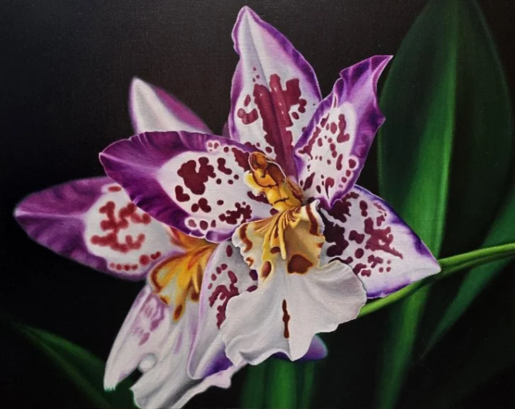 Close-up of a purple-and-white spotted orchid flower with yellow stamens against a dark background painted by Bert Liverance