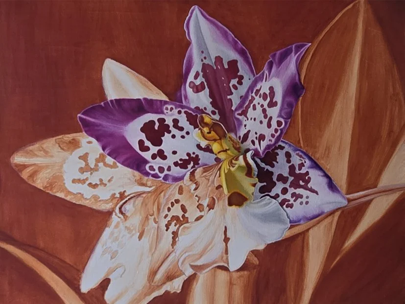 This Dancing Lady work in progress painting by Bert Liverance, showing purple and white Oncidium orchid petals against a deep red background.