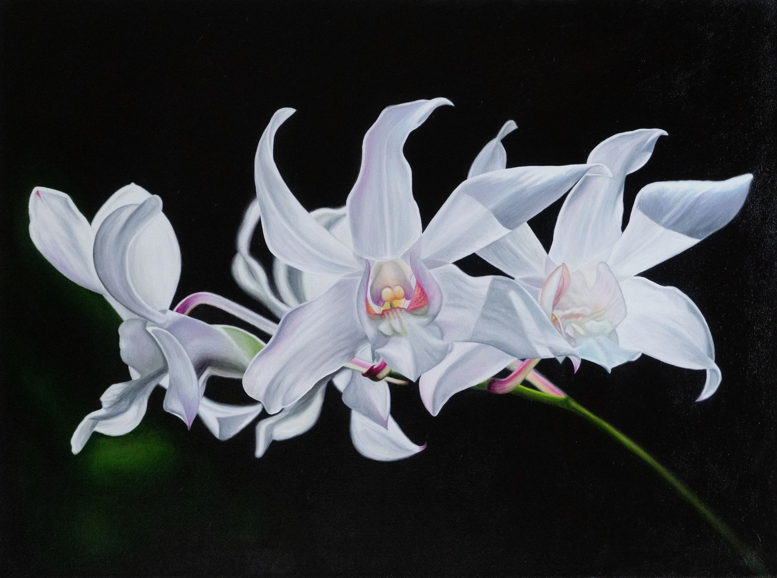 Nevisian Snowflake - 30" x 40" - Available